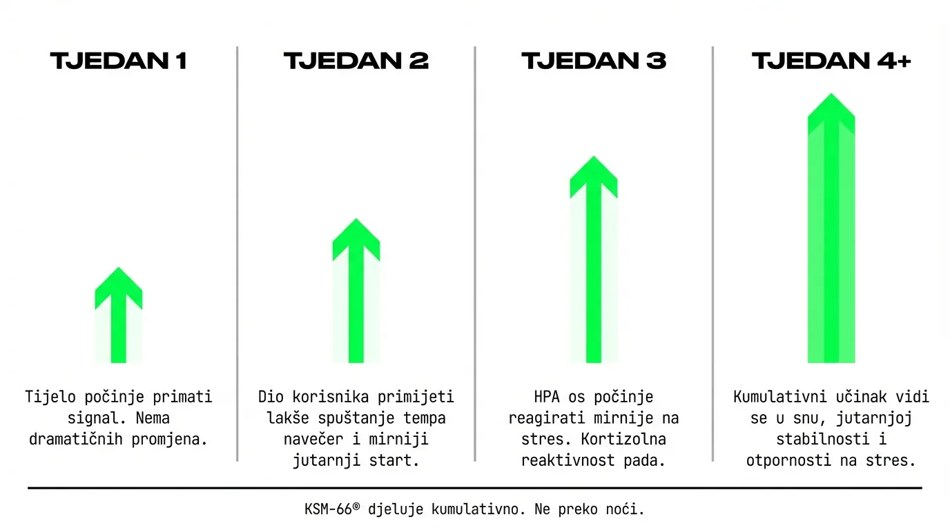 KSM-66 ashwagandha kumulativni učinak — tjedno napredovanje kortizol i stres