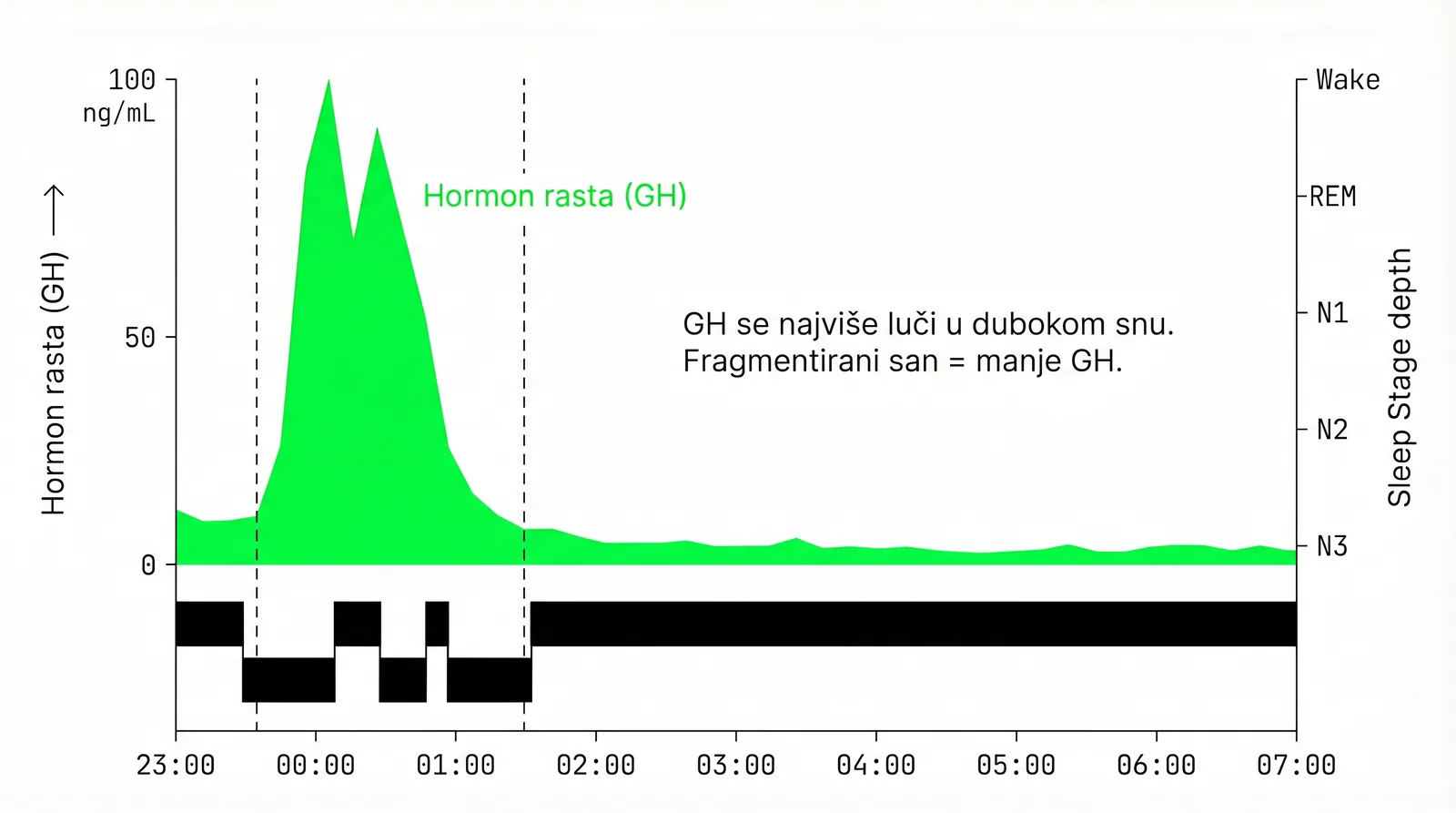 Duboki san i hormon rasta sportaši — GH lučenje noćni maksimum