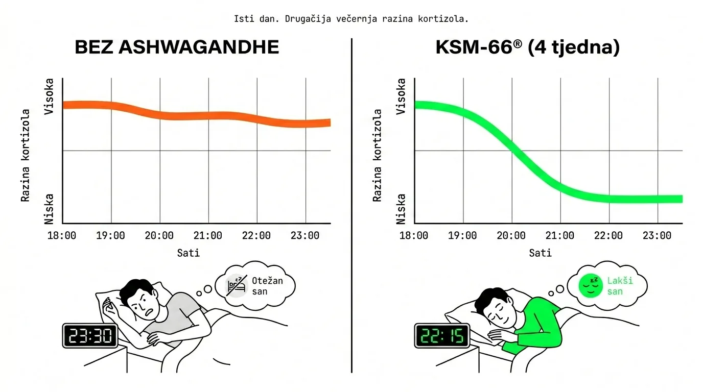 KSM-66 ashwagandha i kortizol — zašto ashwagandha pomaže spavanju kroz modulaciju HPA osi