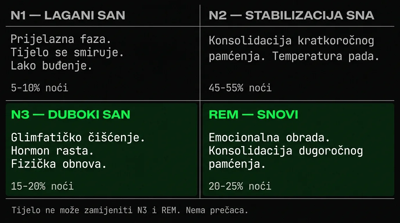 Faze sna i biološka uloga — duboki san čišćenje mozga, REM konsolidacija pamćenja
